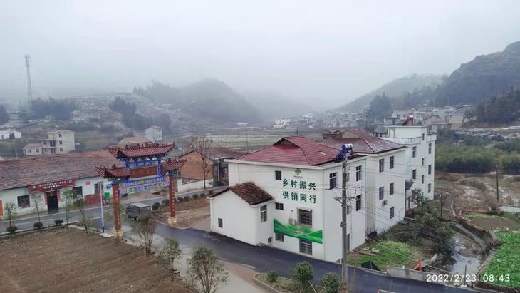 供销荆选驻村日记丨爱心助农拓销路 消费帮扶促增收