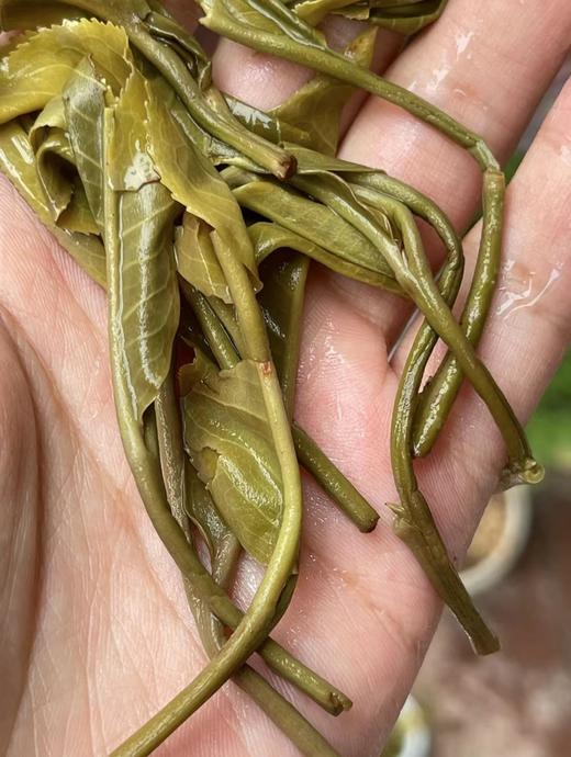 【妖王+妖后大单株】首次公开，山鬼邻居 商品图8