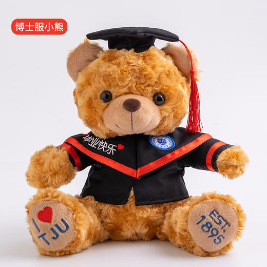 知识渊博天大熊系列公仔-毕业学位服绣花小熊(25cm)❤️ 商品图5