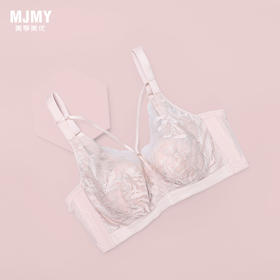 美季美优X亮丝水晶杯文胸W251B13