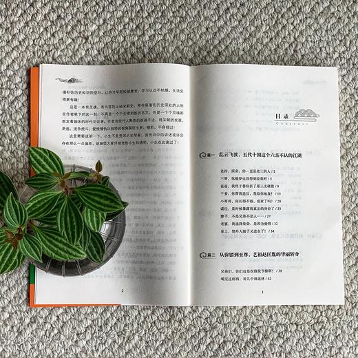 (仓发) 大宋侃史官：这是一本让你读得开心、记得牢靠的正经宋朝史/中国华侨出版社/李飞/9787511385413 商品图4