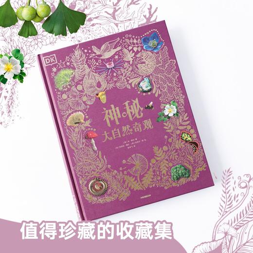 (仓发)  DK神秘大自然奇观 童书/中信出版集团股份有限公司/本·霍尔/9787521724523 商品图4