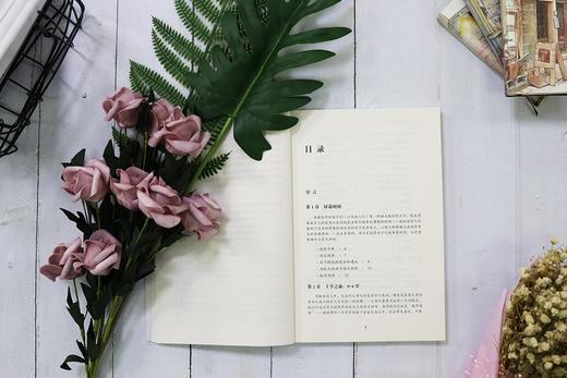 (仓发) 帮助你的孩子爱上阅读/北京联合出版公司/[英]爱丽森·戴维/9787550287532 商品图5