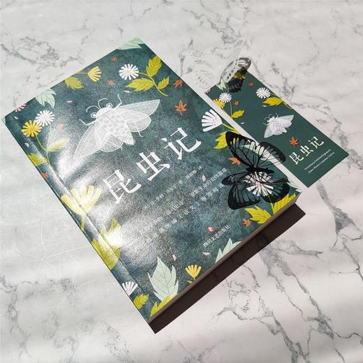 (仓发) 昆虫记（课外阅读名著）/四川文艺出版社/[法]让—亨利·法布尔/9787541149917 商品图4