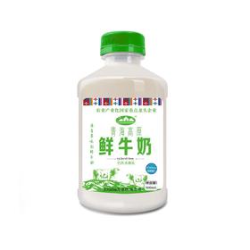 青海湖 青海高原鲜牛奶 500ml/瓶
