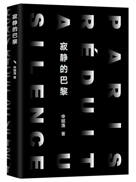 (仓发) 寂静的巴黎（申赋渔新作。我们真实的生命故事如何被疫情改写？）/南海出版公司/申赋渔/9787544295178 商品图2