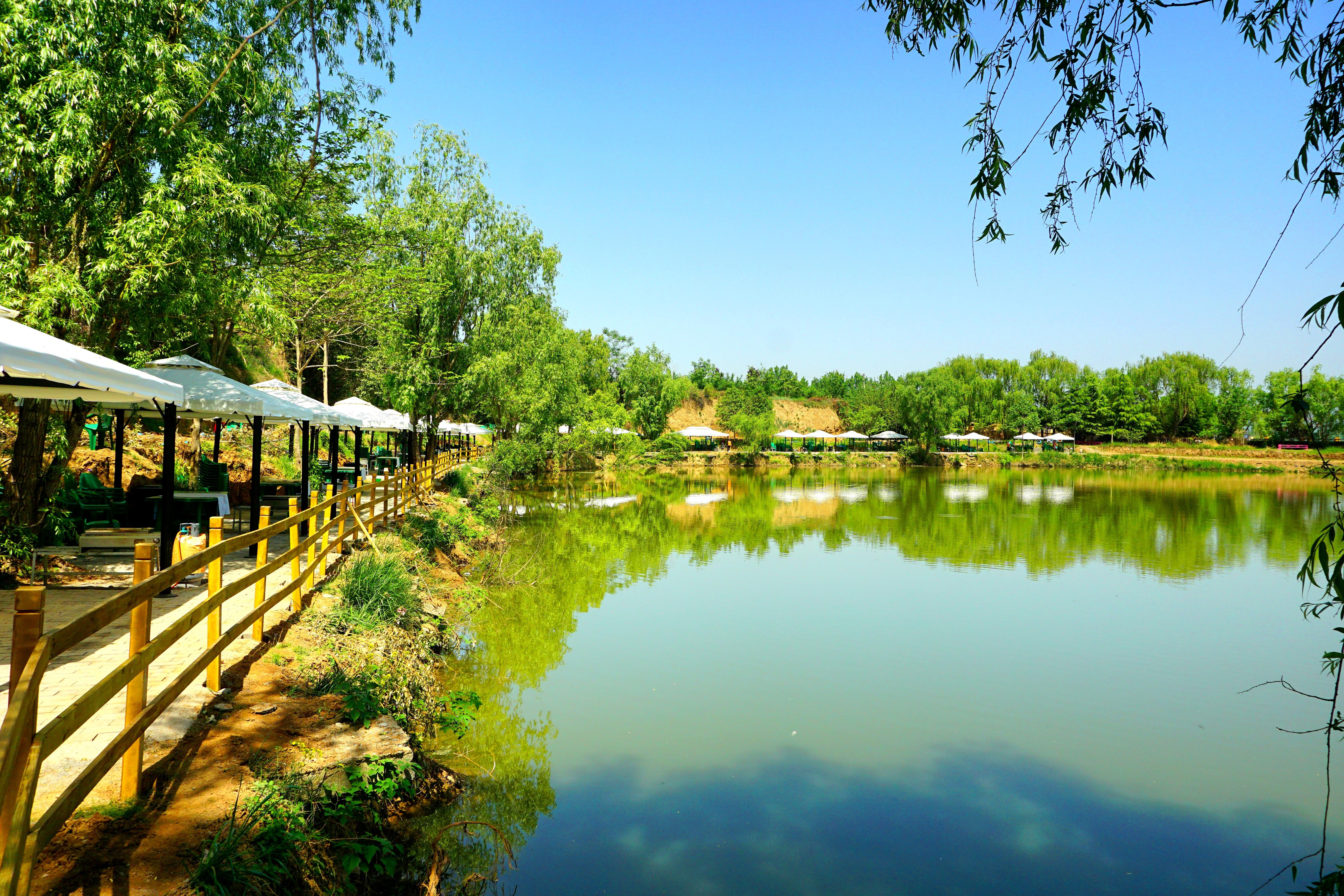 小杨烤肉BBQ•礼泉湖户外自助烧烤（预约：18189209199）