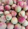 本地桃子 商品缩略图0