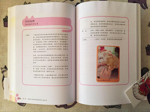 (仓发) 喵问题：学着好好爱你的猫/电子工业出版社/小兽医林煜淳；猫奴41/9787121326516 商品图3
