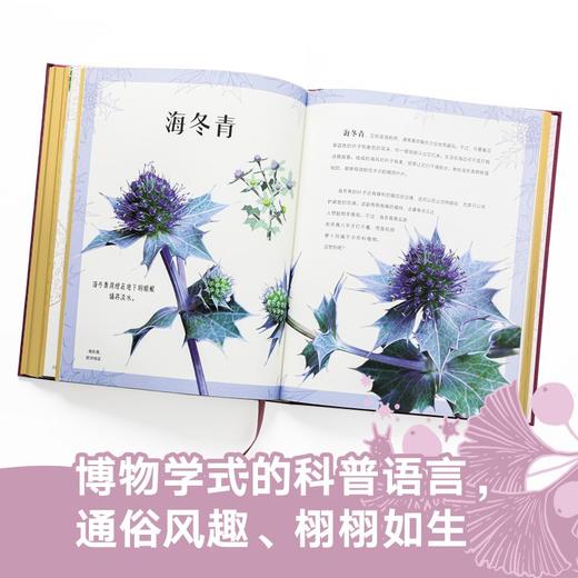 (仓发)  DK神秘大自然奇观 童书/中信出版集团股份有限公司/本·霍尔/9787521724523 商品图3