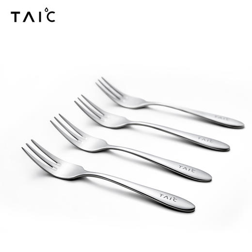 TAIC太可纯钛西餐刀叉套装/水果叉(皓月银） 商品图1