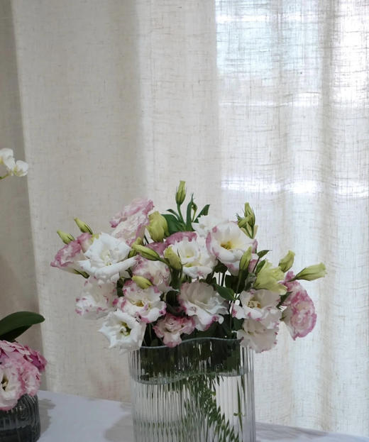 【洋桔梗】--粉边  若干枝/扎 商品图1