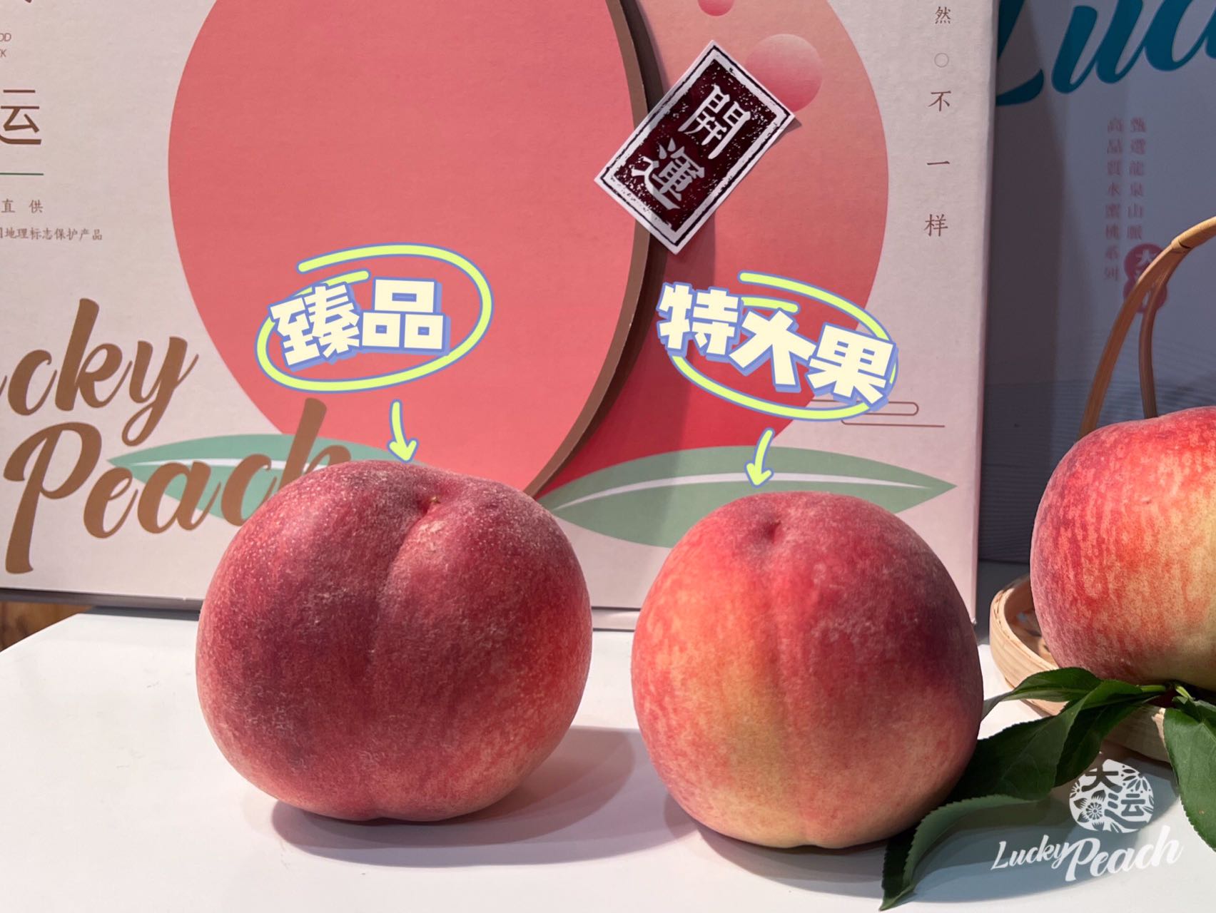 龙泉驿水蜜桃 凤凰桃