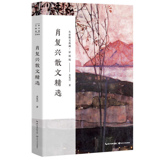 肖复兴散文精选 商品图0