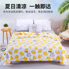 【夏日清凉 一触即达】柠檬夏被 冰丝凉感 夏日沁爽，吸湿透气 亲肤舒适，这个夏天 你的被子应该带有柠檬香 商品缩略图0