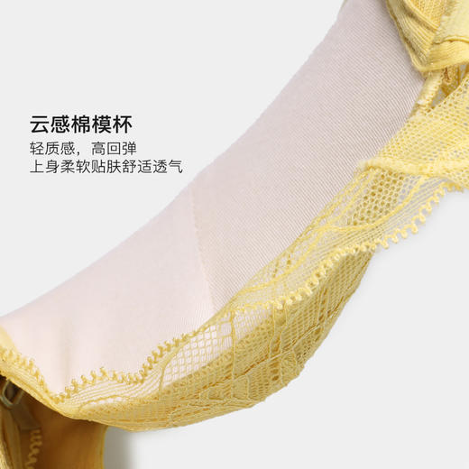 美季美优H春意系列云感棉文胸W251A01 商品图2