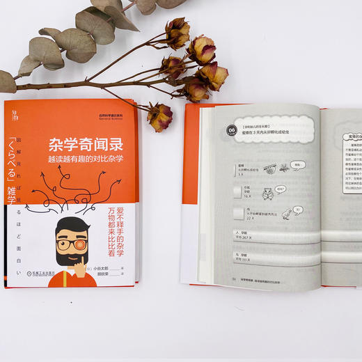 (仓发) 杂学奇闻录：越读越有趣的对比杂学  知物科普/机械工业出版社/[日]小谷太郎/9787111652564 商品图5