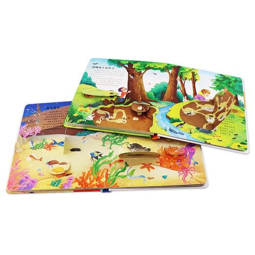 (仓发) 小红花趣味科学翻翻游戏书第2辑（全5册）/海豚出版社/北京小红花图书工作室/9787511053718 商品图6