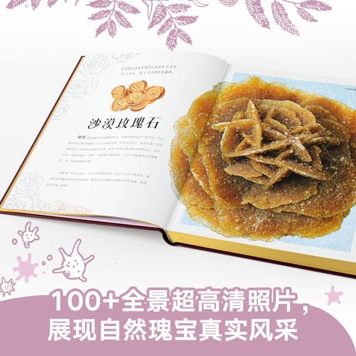 (仓发)  DK神秘大自然奇观 童书/中信出版集团股份有限公司/本·霍尔/9787521724523 商品图5
