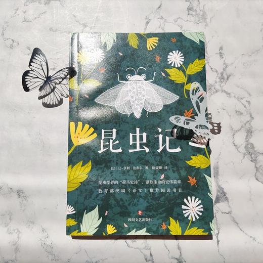 (仓发) 昆虫记（课外阅读名著）/四川文艺出版社/[法]让—亨利·法布尔/9787541149917 商品图2