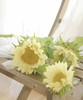 奶油向日葵 5枝/扎   商品缩略图3