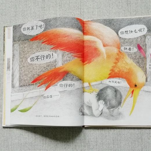 (仓发) 我肩上的一只小鸟（“宝贝，你慢慢来”精装哲学启蒙绘本，诺贝尔文学奖得主勒克莱奇奥推荐）/湖南少年儿童出版社/【比】茜比尔·德拉克罗瓦/9787556250035 商品图6