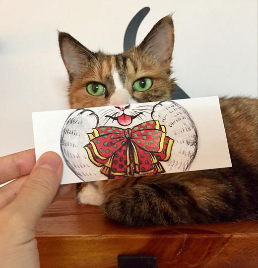 (仓发) 喵问题：学着好好爱你的猫/电子工业出版社/小兽医林煜淳；猫奴41/9787121326516 商品图6