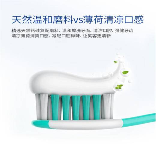 冷酸灵清火抗敏牙膏【110g】 商品图1