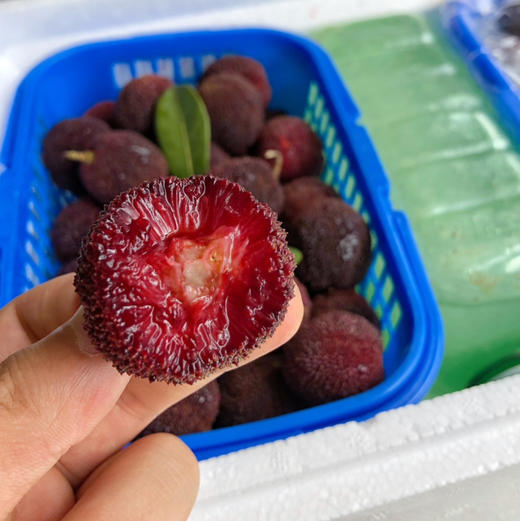 【东魁杨梅】 东魁（真空装）杨梅，入口嫩，酸甜可口，冰镇口感更好！ 商品图0