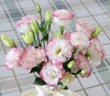 【洋桔梗】--粉边  若干枝/扎 商品缩略图0