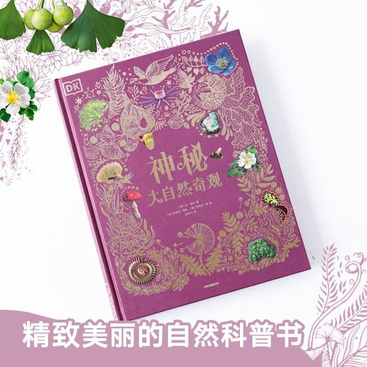 (仓发)  DK神秘大自然奇观 童书/中信出版集团股份有限公司/本·霍尔/9787521724523 商品图1