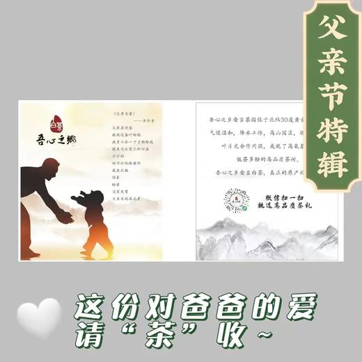 安吉白茶 父亲节特别款 22年春新茶 特级 原产地-自留 商品图0