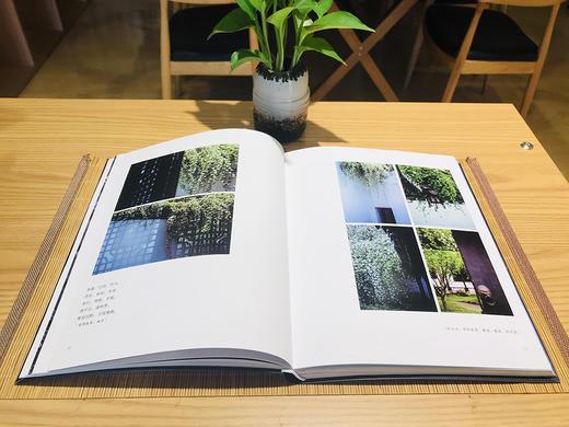 (仓发) 须臾，锦时：一位摄影师的四季之旅（全彩）/电子工业出版社/非与非/9787121386787 商品图3