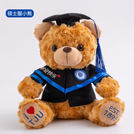 知识渊博天大熊系列公仔-毕业学位服绣花小熊(25cm)❤️ 商品图3
