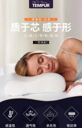 泰普尔感温枕QS