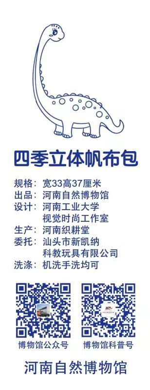 【河南自博-文创】四季帆布包 - 汝阳龙（冬） 商品图2