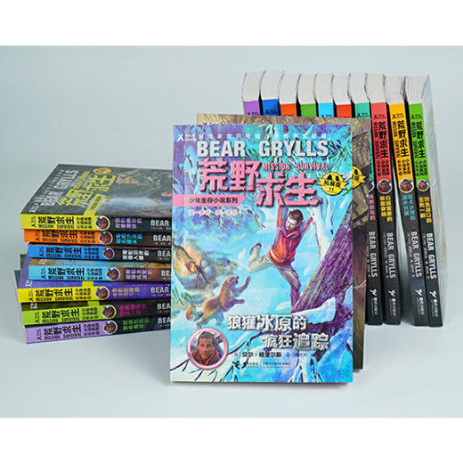 【全26册】荒野求生少年生存小说系列（拓展版） 商品图3