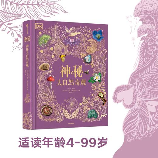 (仓发)  DK神秘大自然奇观 童书/中信出版集团股份有限公司/本·霍尔/9787521724523 商品图2