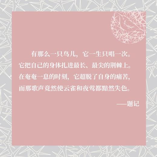 (仓发) 荆棘鸟（全面修订译文，著名装帧设计家朱赢椿全新装帧设计，上下分册）禁爱小说经典，澳大利亚史诗爱情，全球销量逾3000万册/译林出版社/[澳大利亚] 考琳.麦卡洛/9787544784580 商品图6