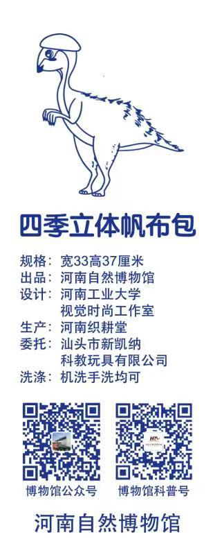 【河南自博-文创】四季帆布包 - 迷你豫龙（秋） 商品图2