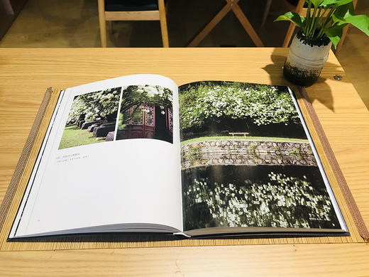 (仓发) 须臾，锦时：一位摄影师的四季之旅（全彩）/电子工业出版社/非与非/9787121386787 商品图4