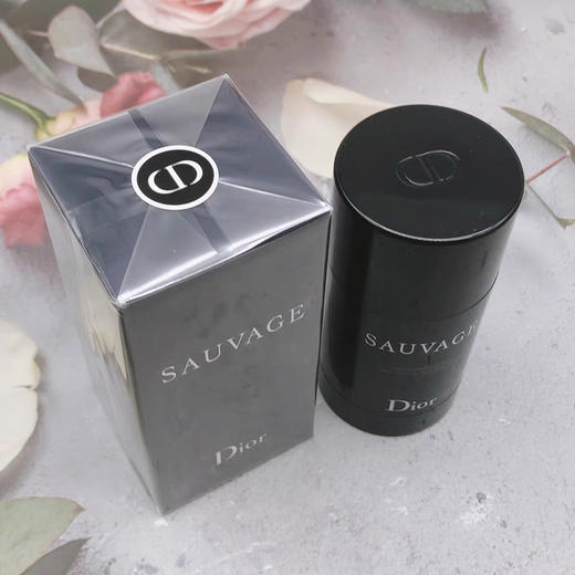 法国Dior旷野止汗香膏75g 商品图1