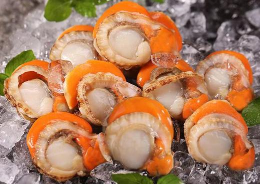 【彦伯】长岛红贝扇贝肉 8袋 商品图3