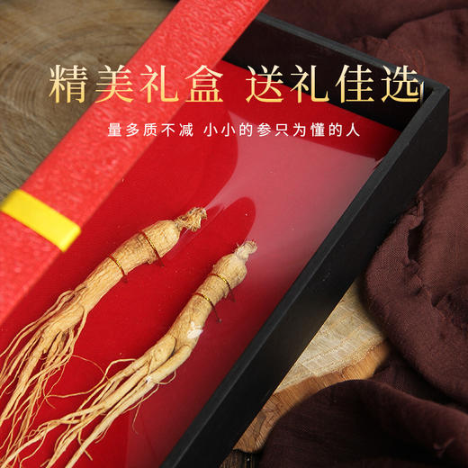 【长白山干人参】气微香 味微苦且甘 来自长白山人参 泡酒 商品图0
