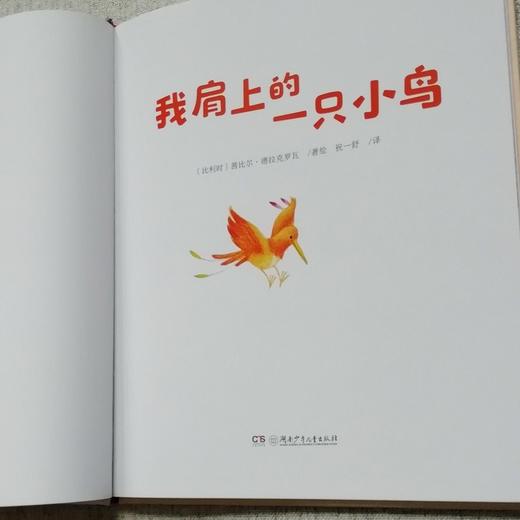(仓发) 我肩上的一只小鸟（“宝贝，你慢慢来”精装哲学启蒙绘本，诺贝尔文学奖得主勒克莱奇奥推荐）/湖南少年儿童出版社/【比】茜比尔·德拉克罗瓦/9787556250035 商品图2
