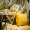 热带雨林系列抱枕荷叶边简约抱枕 商品缩略图3