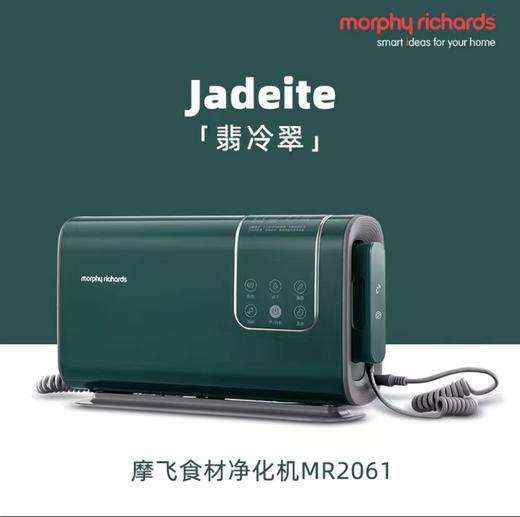 7F MORPHY RICHARDS 摩飞MR2061 食材净化机 商品图1