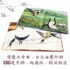 我的飞鸟朋友·你如此勇敢（套装4册赠观鸟笔记本） 商品缩略图5