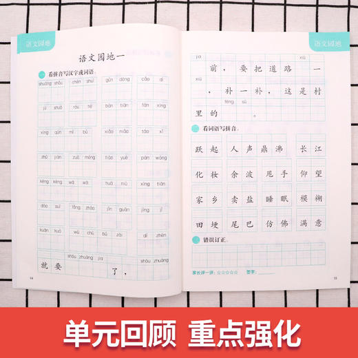 (仓发) 2024版新编同步默写训练四年级上册 语文第一学期 统编版教材 4年级小学教辅语文拼音写字听写同步配套课外训练元远教育/同济大学出版社/上海元远教育/9787560887388 商品图3