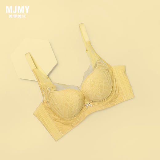 美季美优H春意系列云感棉文胸W251A01 商品图0